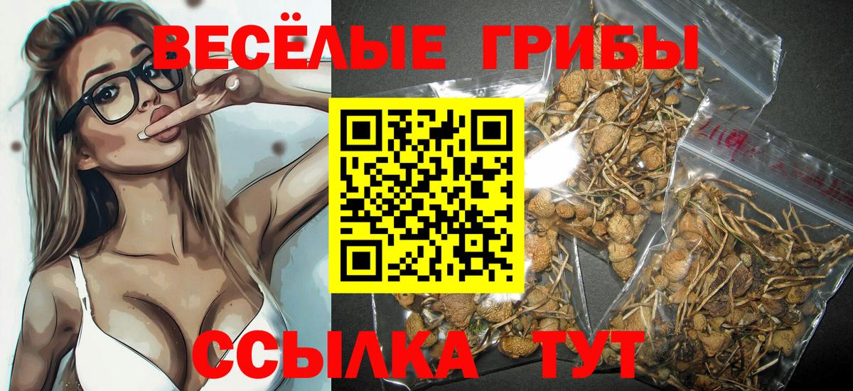 Псилоцибиновые грибы MAGIC MUSHROOMS Пыть-Ях