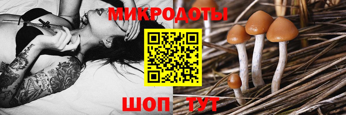 Пыть-Ях  Галлюциногенные грибы Psilocybe  Вход с VPN  закладка  Галлюциногенные грибы Cubensis 